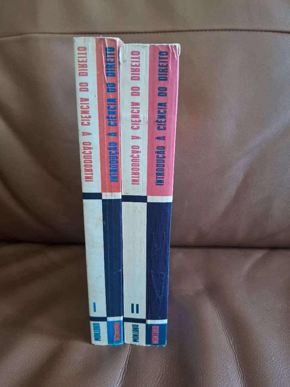 Livro Introdução a ciência do direito - Foto 3
