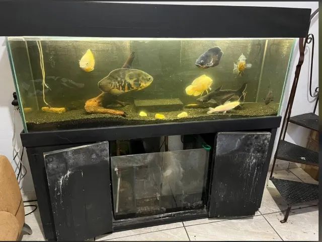 Aquário 360 litros com Sump - Completo - Foto 3