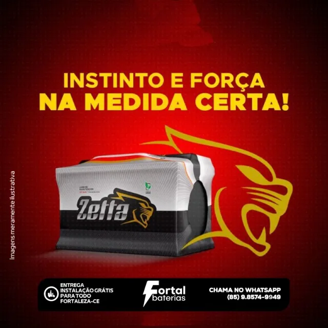 Veículo Parado Nunca Mais! // Baterias de 45Ah a 100Ah!
