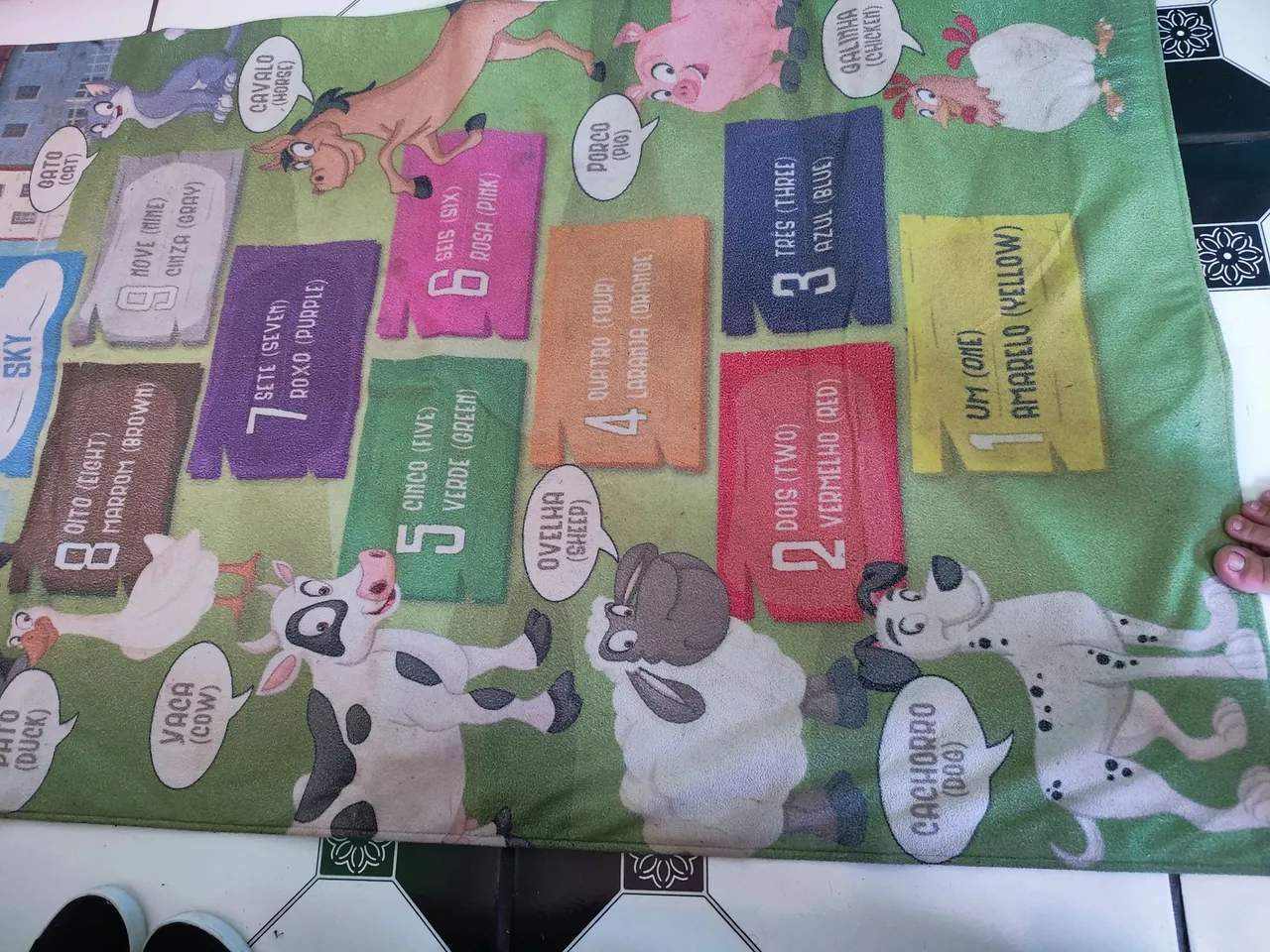 Tapete Educacional Infantil Números e Animais