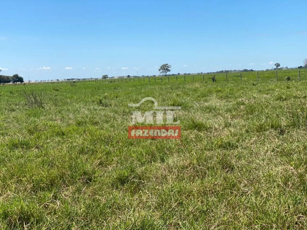 Fazenda de 750 alqueires (3500hectares) em Campinápolis - MT - Foto 4
