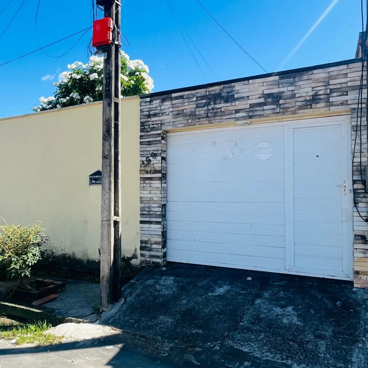 Foto - Caucaia - Curicaca