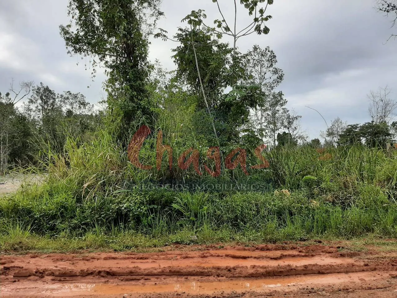 Terreno com 360 metros quadrados em Caraguatatuba