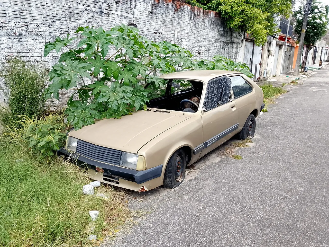 Chevette Hatch 84