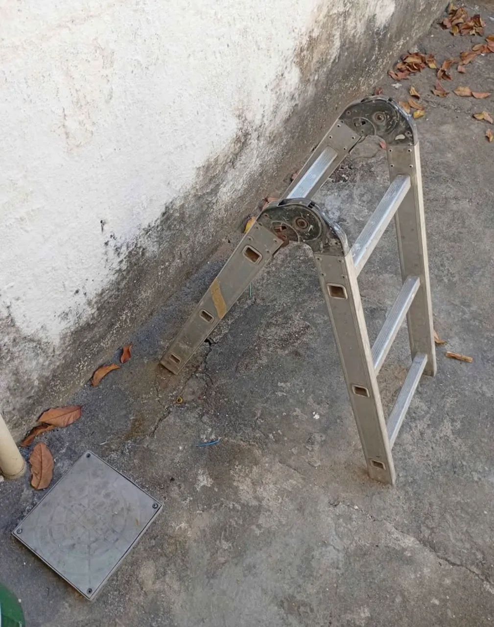 Escada64673479886210121