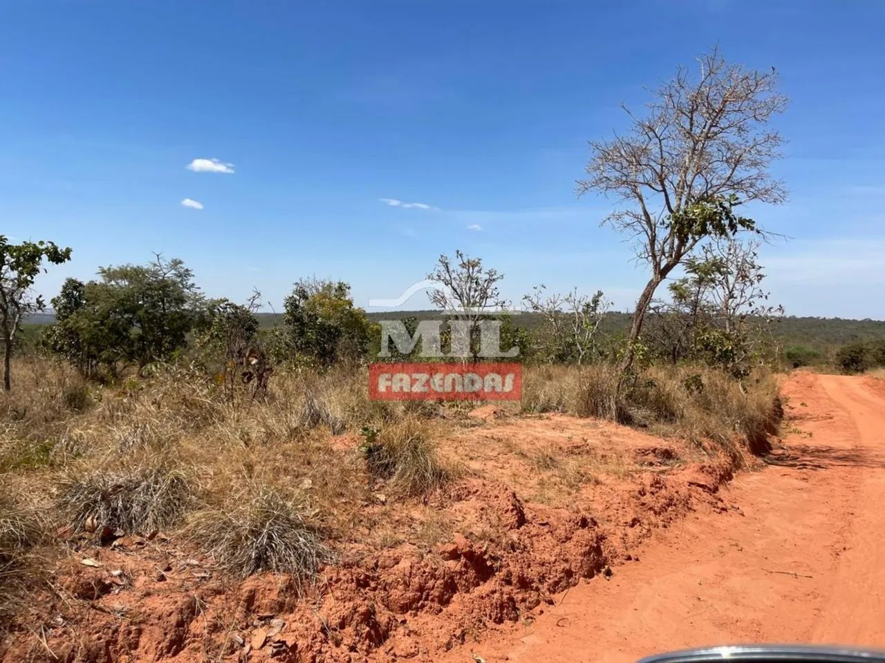 Arrendamento para Lavoura Torixoréu-MT / 1.700 hectares (plantio de soja) - Foto 2