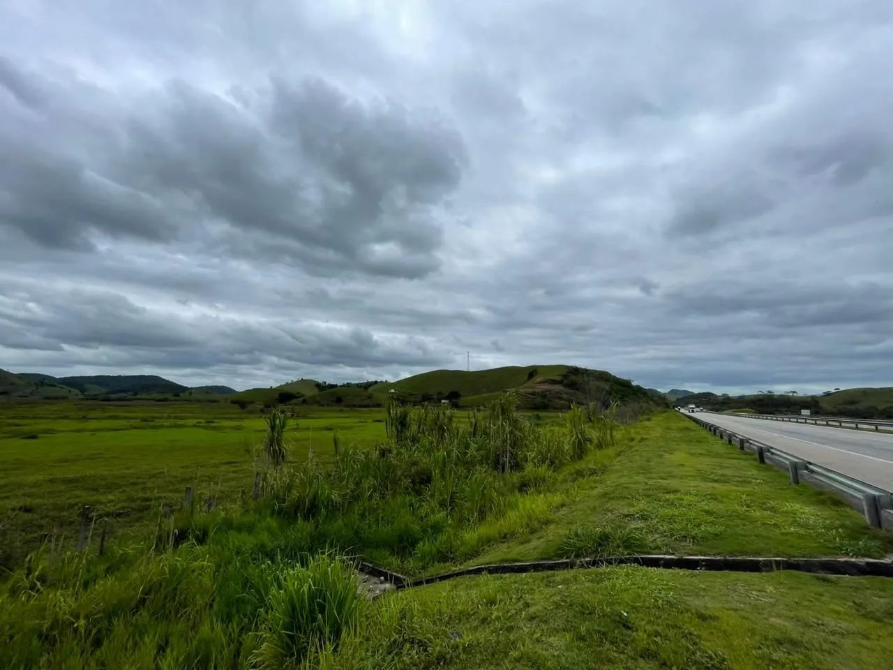 Pecuária  - Foto 11