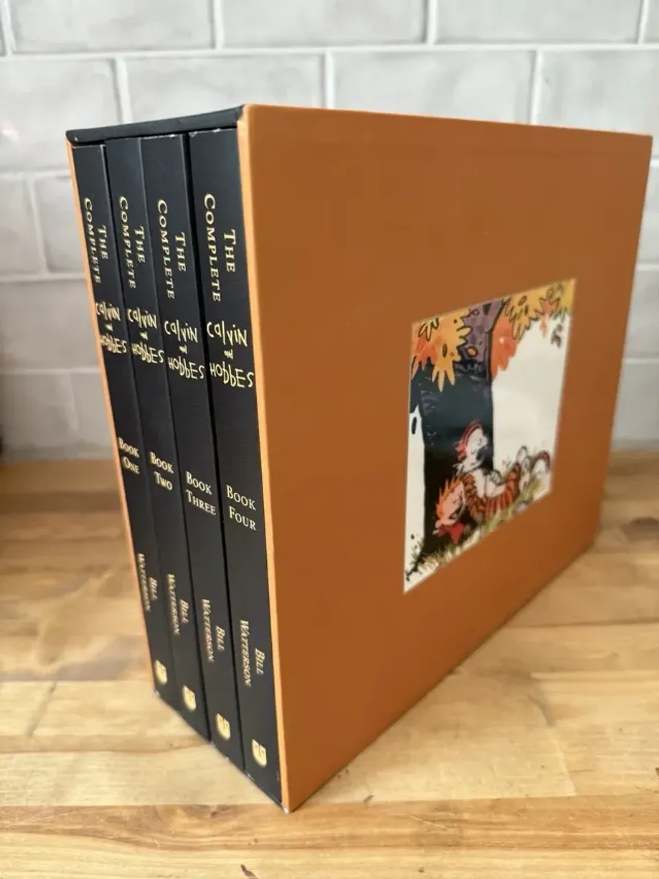 BOX COMPLETO Calvin e Aroldo em Inglês (Calvin and Hobbies)in and Ho
