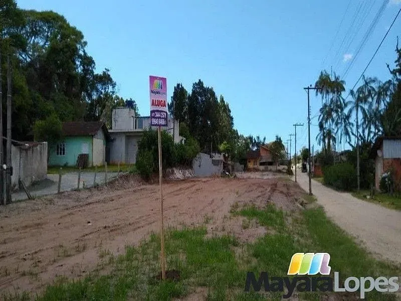 Terreno para alugar, 700 m² por R$ 1.000,00/mês - Praia de Ubatuba - São Francisco do Sul/