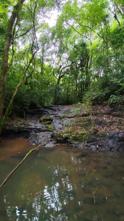 Sítio,com arroio, piscina natural,muita natureza  - Foto 3