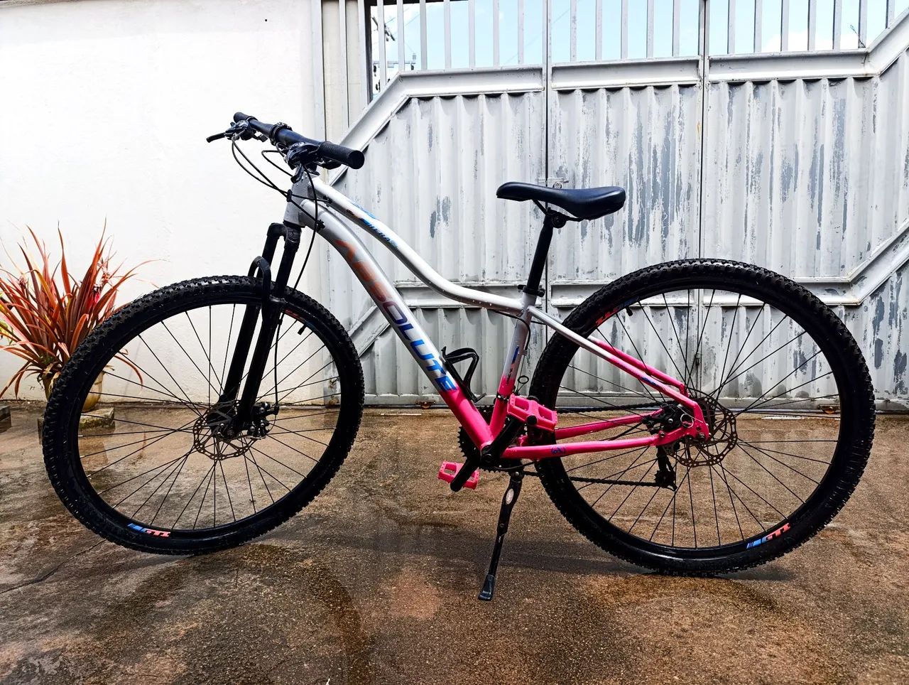 Bicicleta 