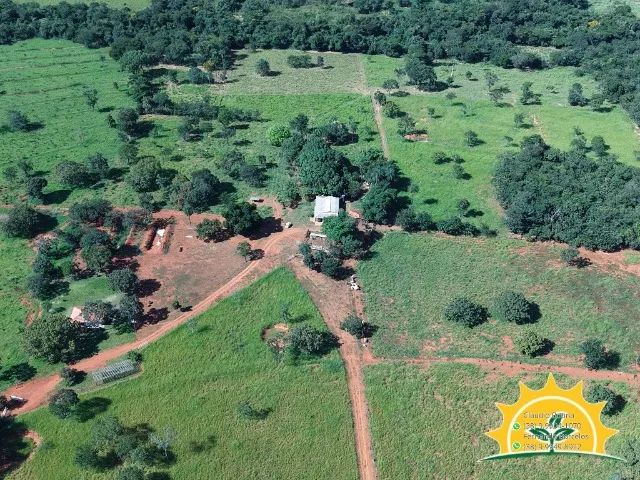 Fazendinha com 30 Hectares pertinho da cidade - Foto 5