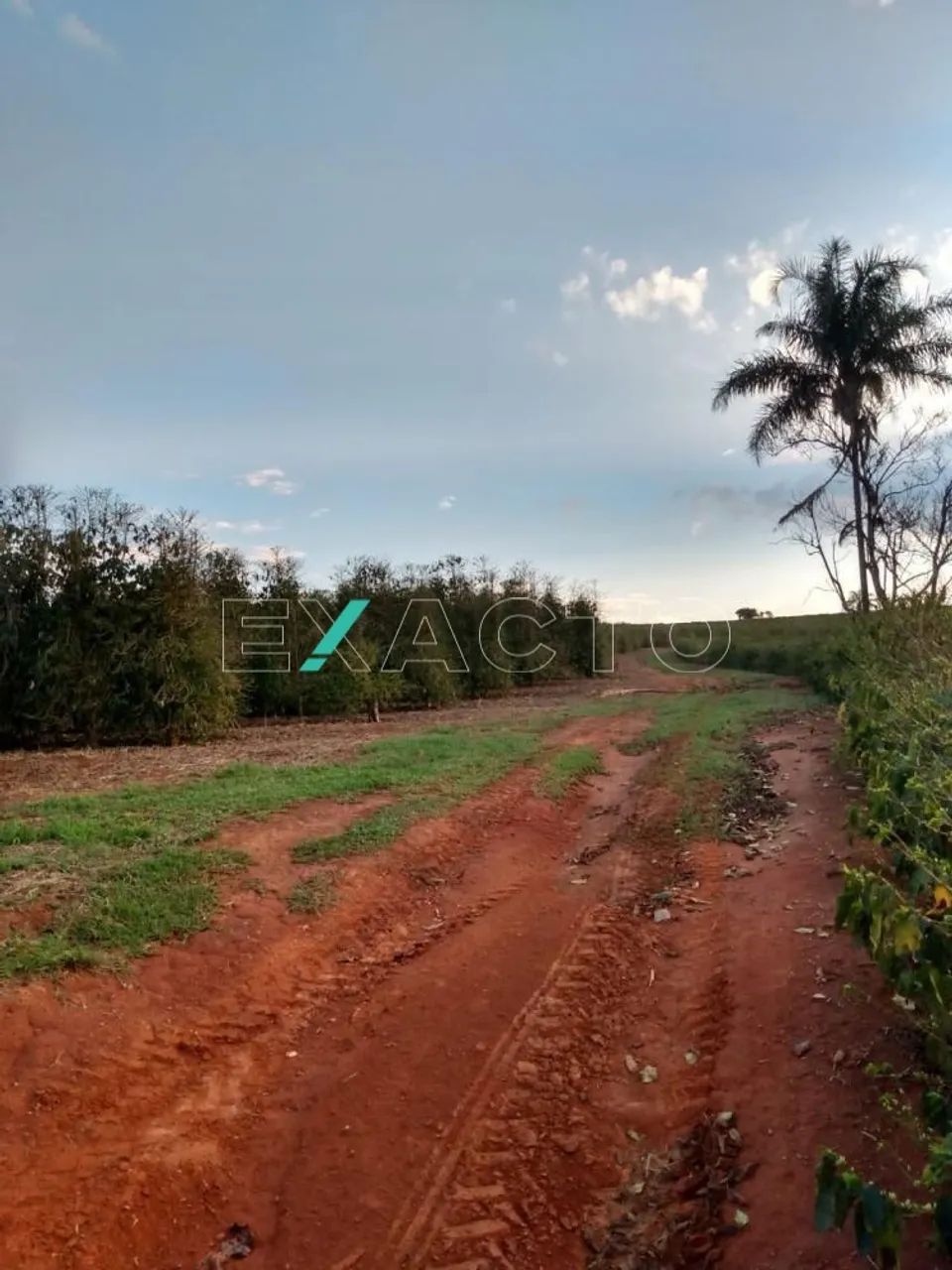 sítio - Centro - Cabo Verde - Foto 5