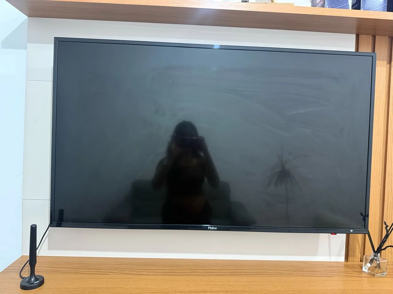 Vendo TV PHILCO 50 Polegadas 