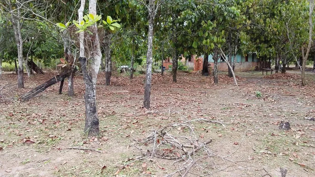 Vendo ou troco chácara por uma casa - Foto 5
