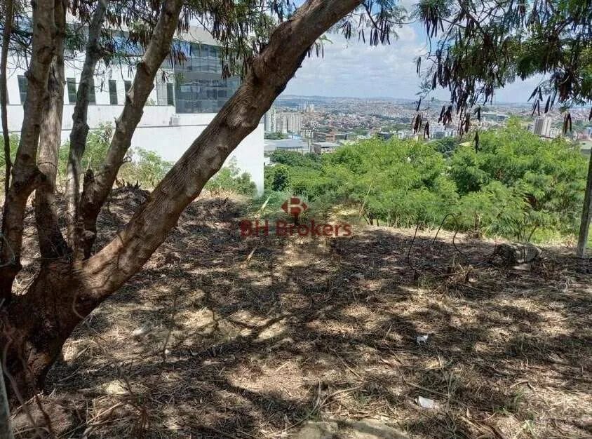 LOTE PARA LOCAÇÃO NO BAIRRO ESTORIL