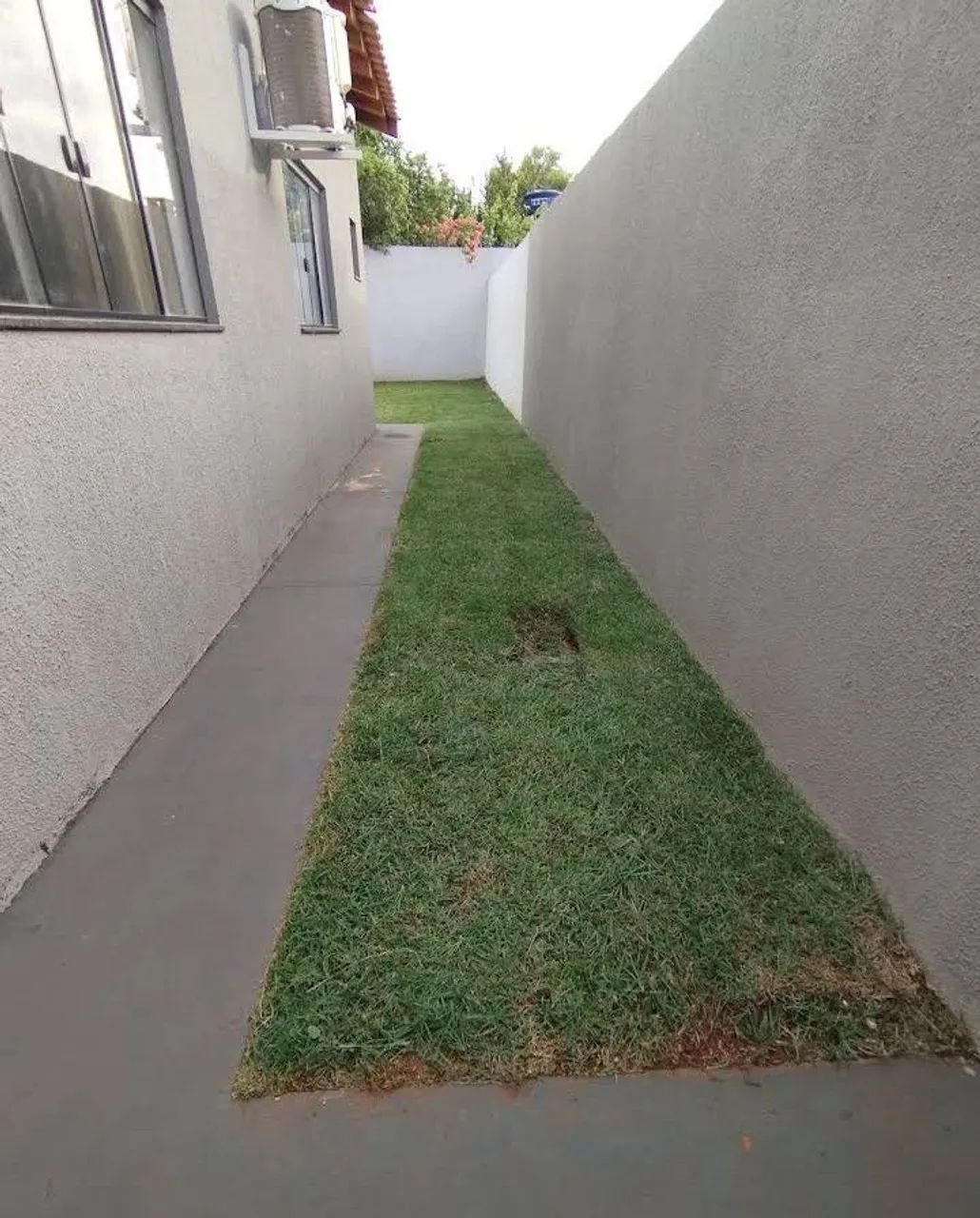 Jardinagem  - Foto 4