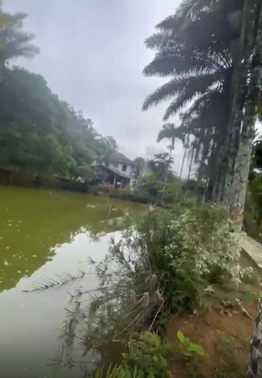 Linda propriedade em Fundão - Foto 4