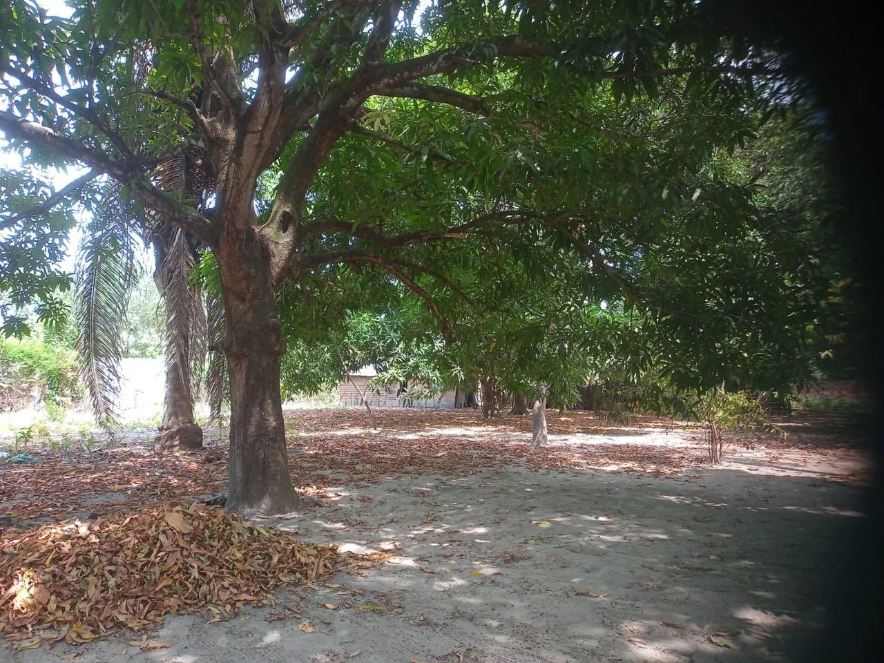Terreno  - Foto 3