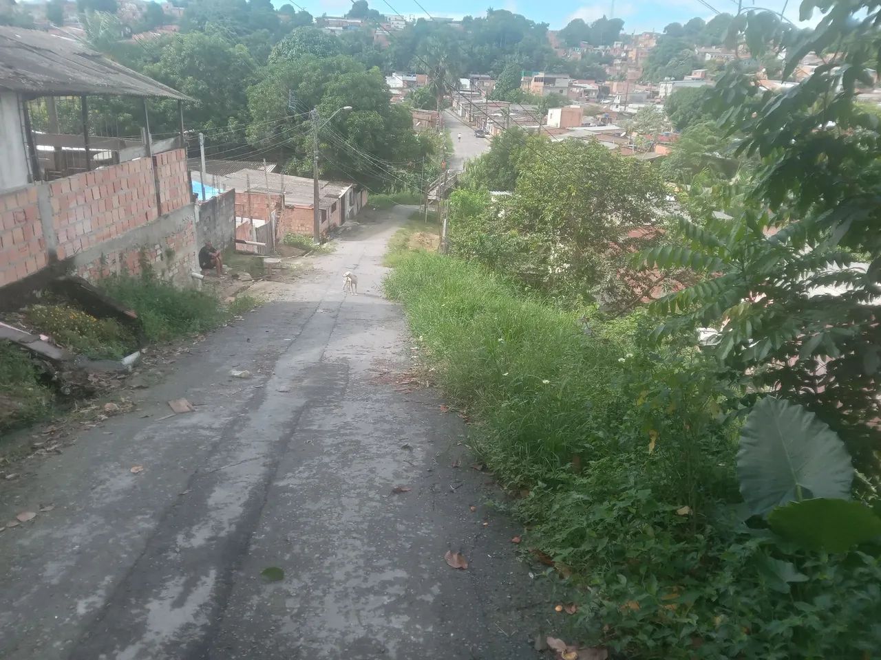 Vendo terreno no fazendinha. - Foto 2