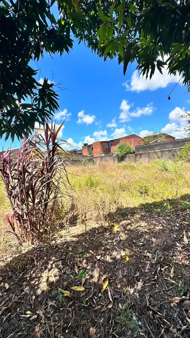 VDO. ÁREA DE TERRENO PX. A  UFAL - Foto 4