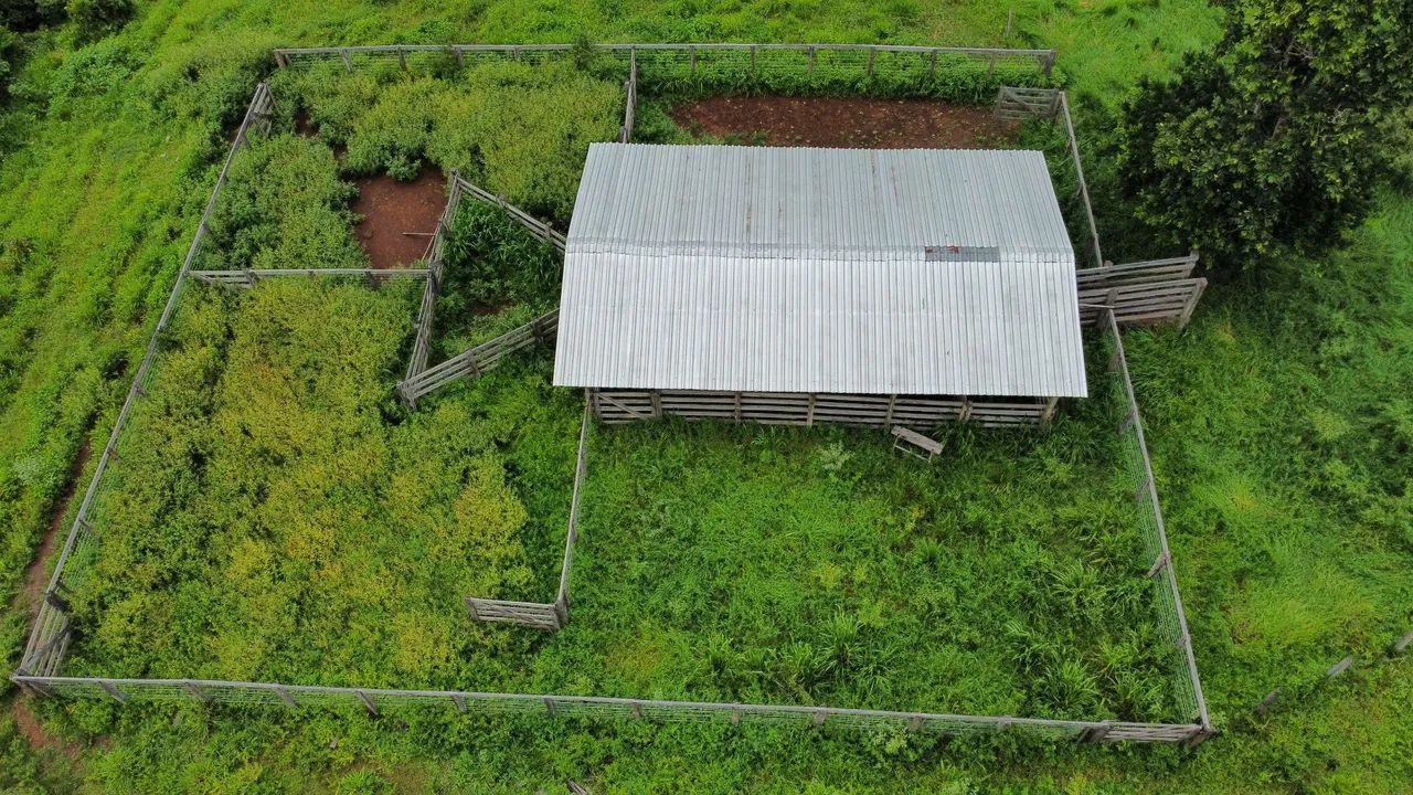 Fazenda 64 Alqueires em Santa Tereza - Foto 3
