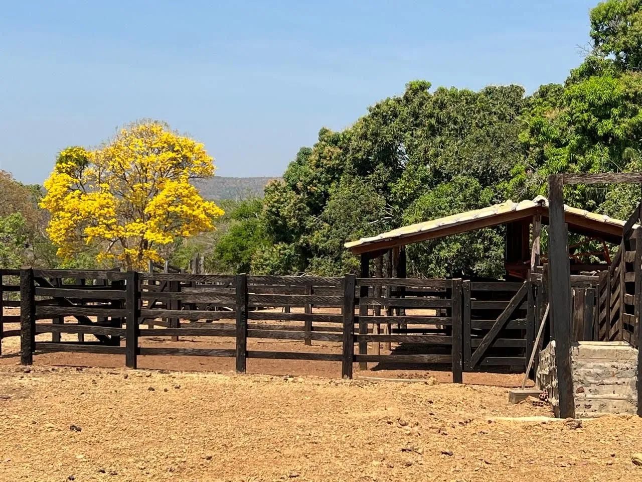 Fazenda em Plano Diretor Norte - Palmas - Foto 3