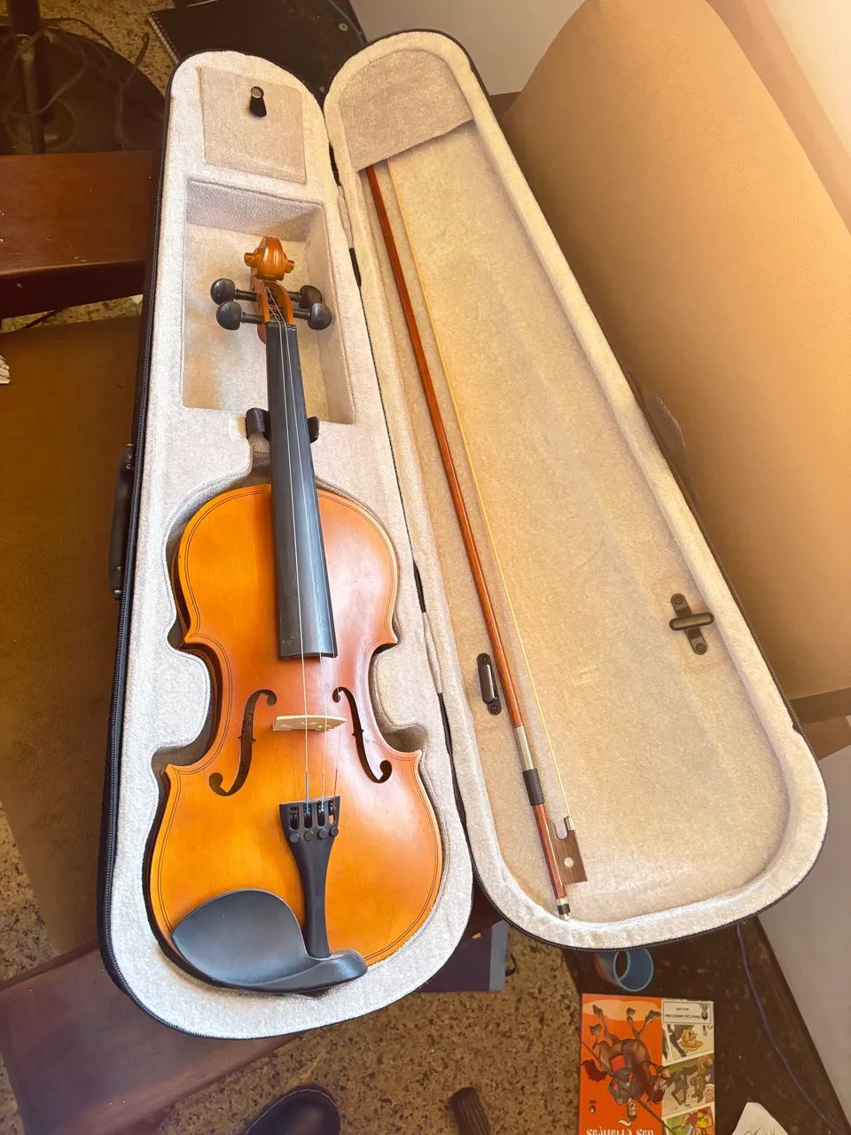 Violino com Case