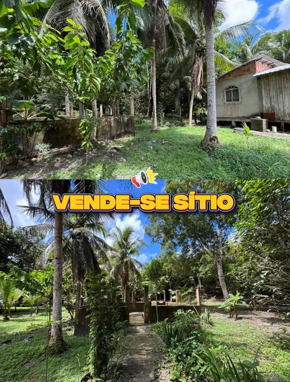 Vende - se sítio na Br174 - Foto 4