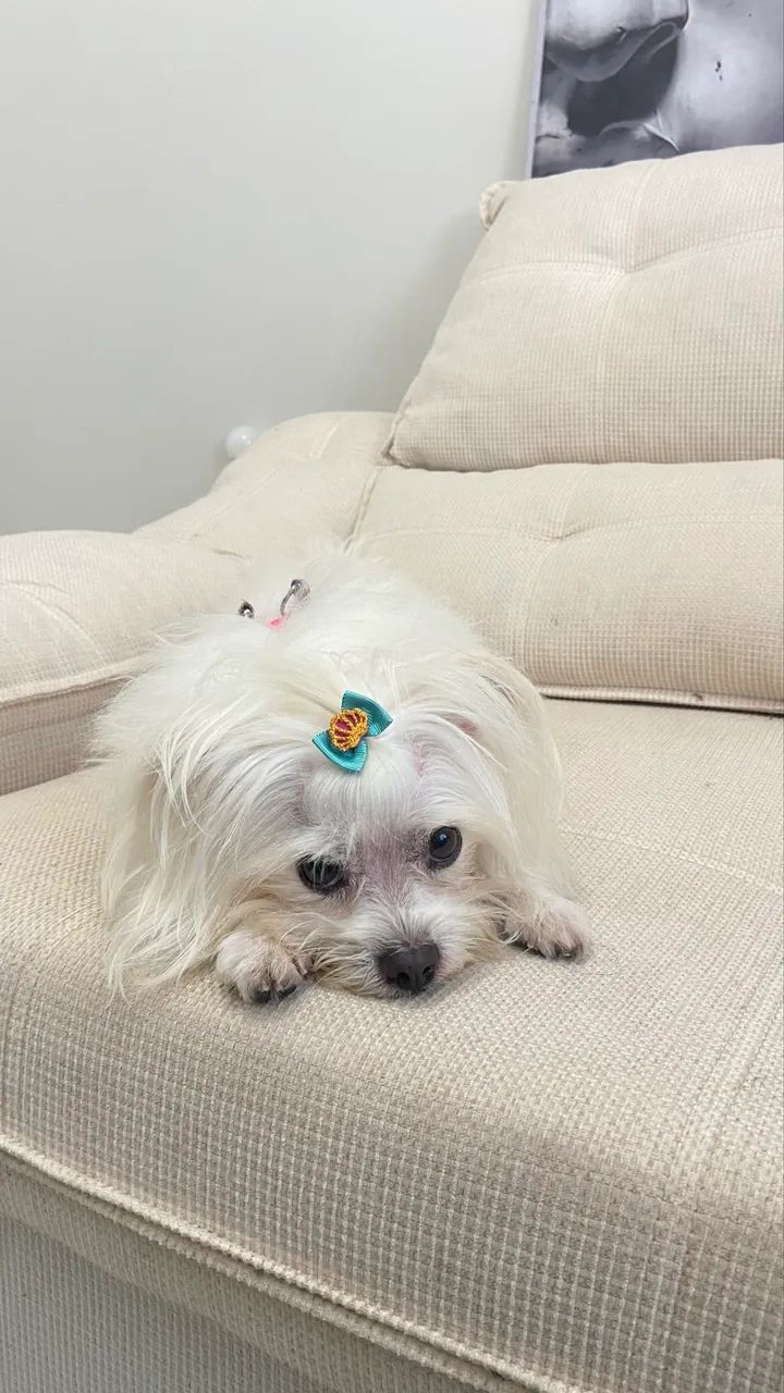 Sofá retrátil linho 2M  - Foto 2