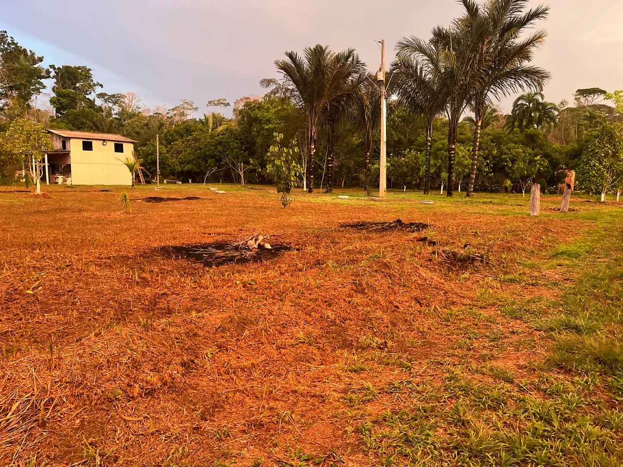 Vende-se sítio localizado no km 42 - Foto 2