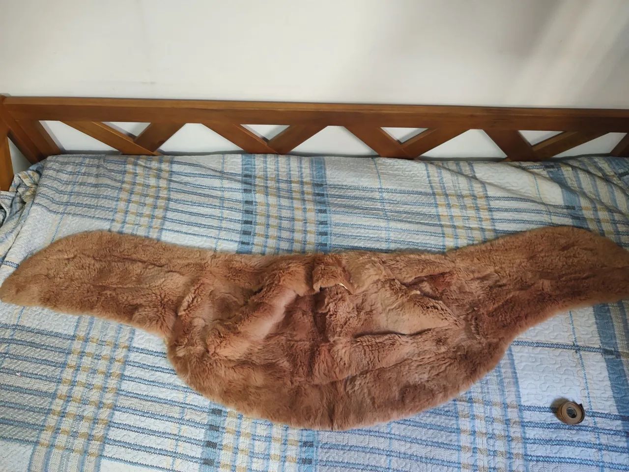 Estola de Pele legítima  - Foto 5