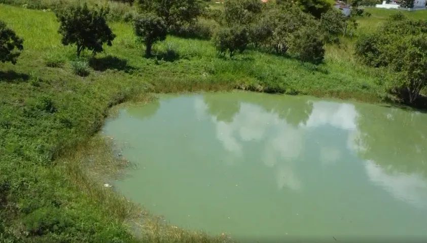 Terreno 360m² em Nova CARPINA - CondomÍnio TOP  - Foto 5