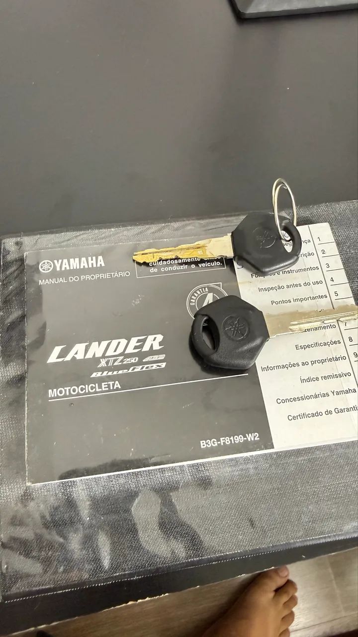 XTZ lander 250  - Foto 4