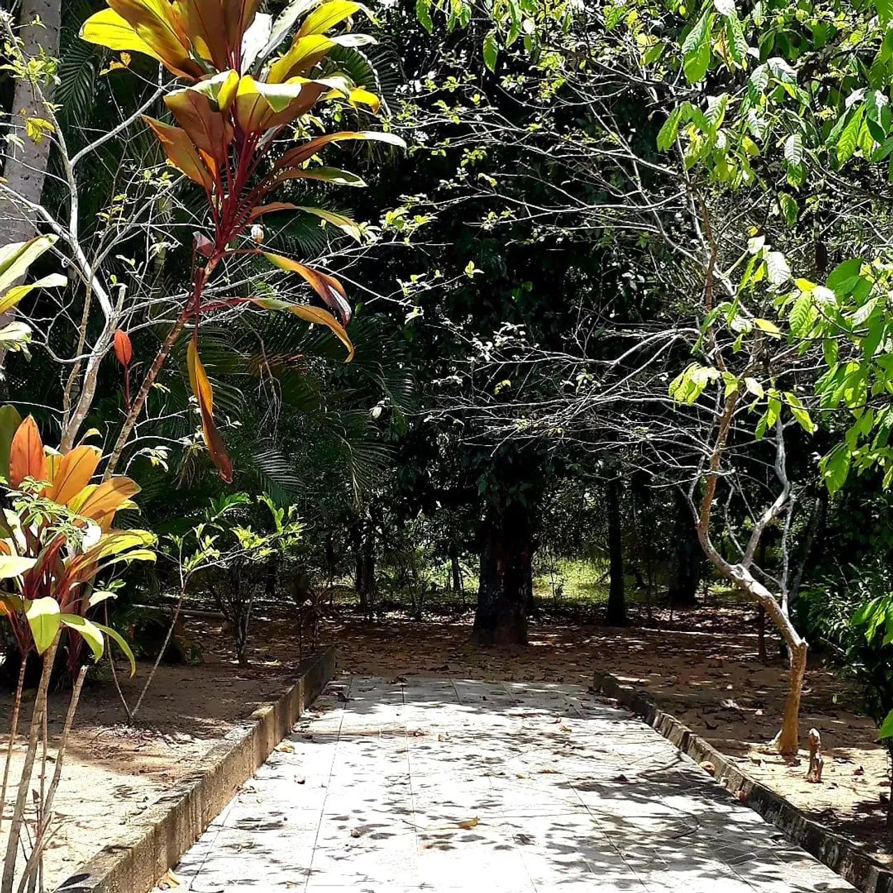 Sítio/Chácara  - Foto 5