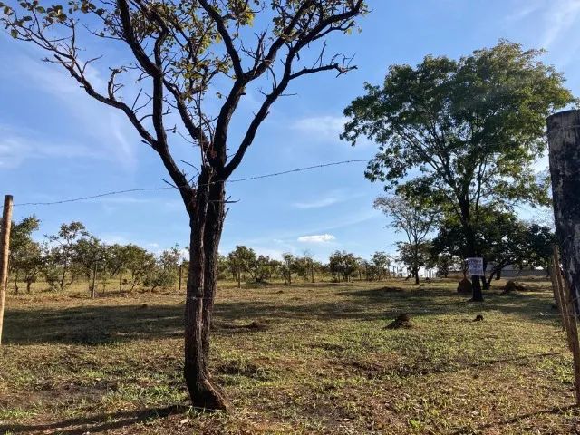 VENDO LOTE - CAPIM BRANCO-MG - Foto 7