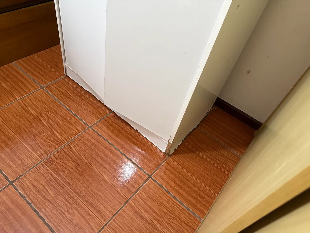 Sapateira  - Foto 3