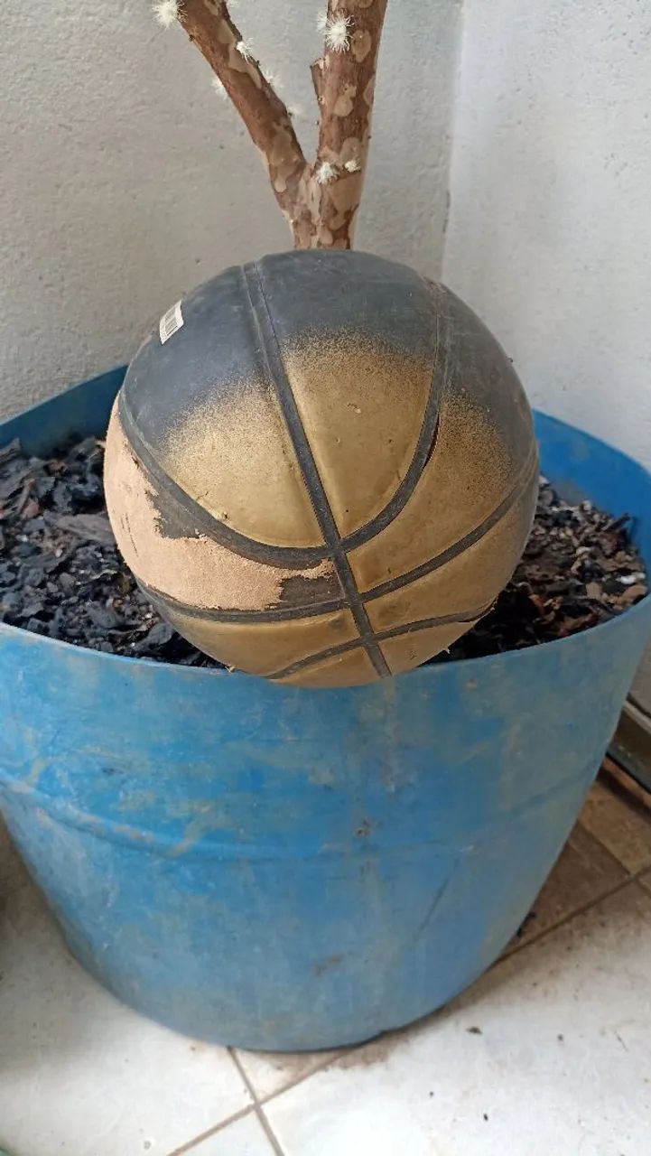Bola de basquete wilson - Foto 3