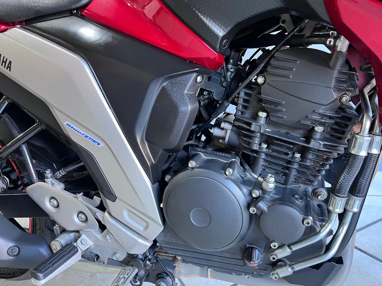 Fz 25 - 2023 - Foto 3
