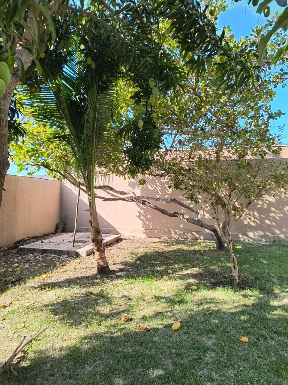 Casa Alto Padrão 4 suítes área de lazer completa - Foto 5
