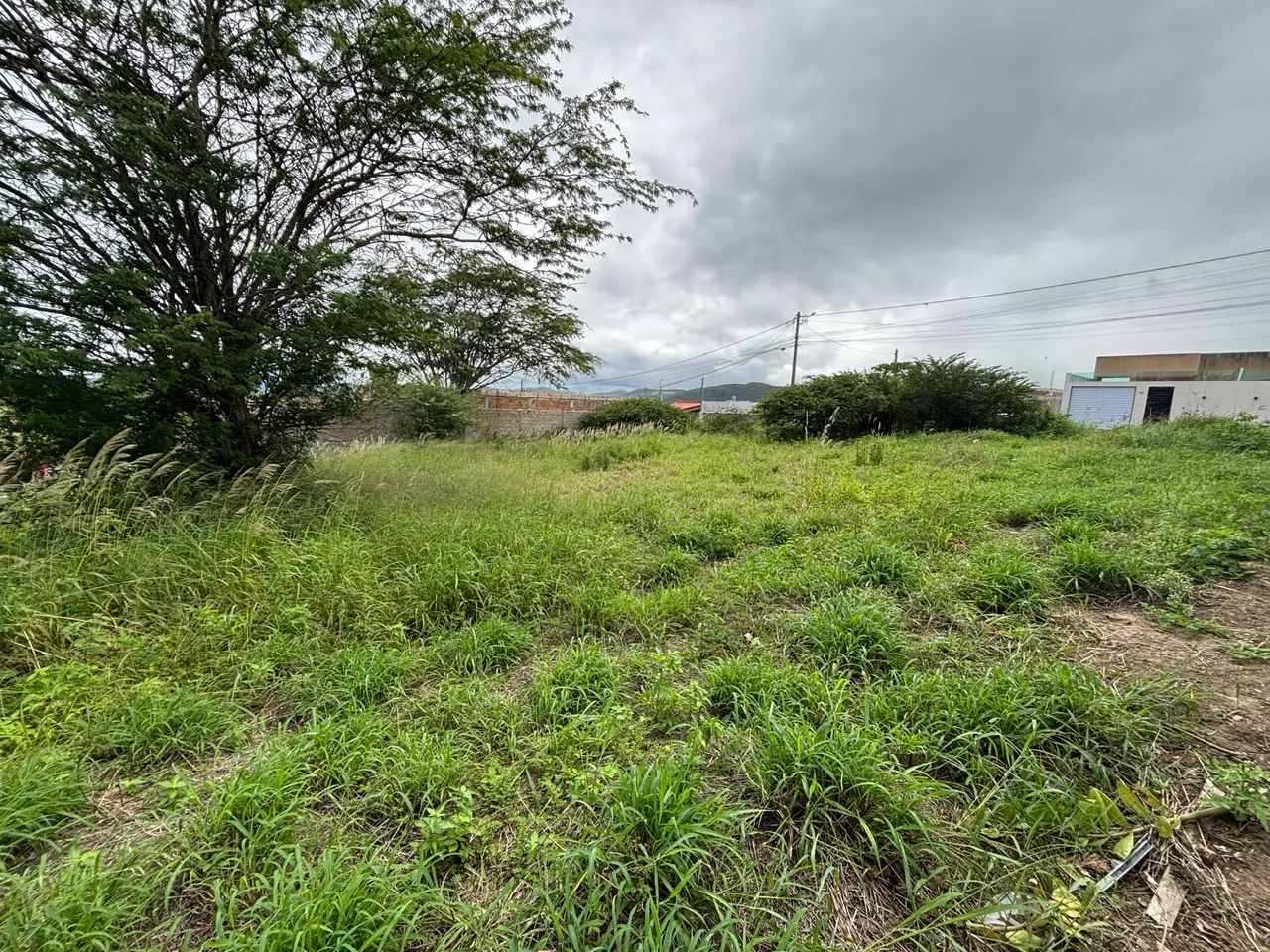 ((CM)) Promoção em Bezerros, Lote C/295m2 Próx ao Centro