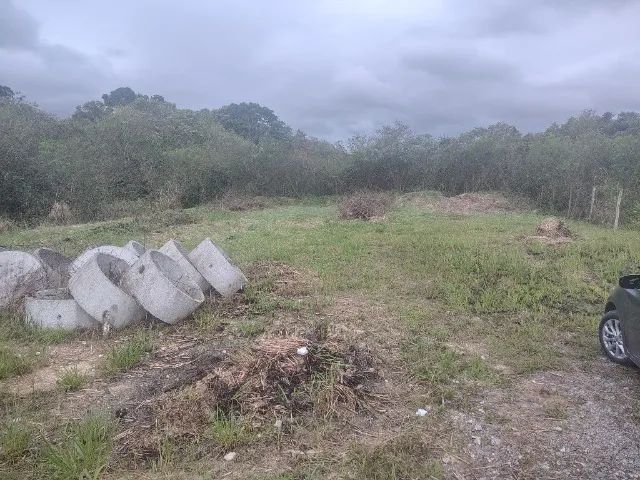 Lote 12 ×30