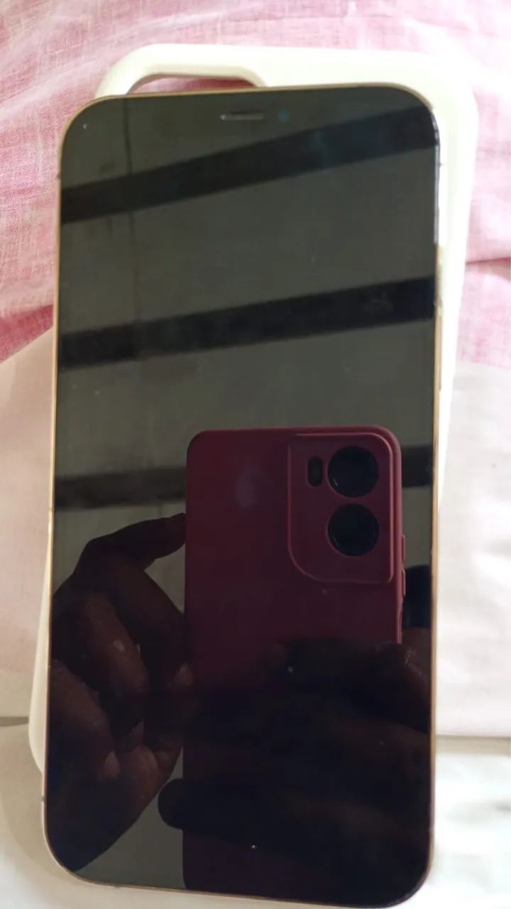 iPhone 12 Pro 256 GB 