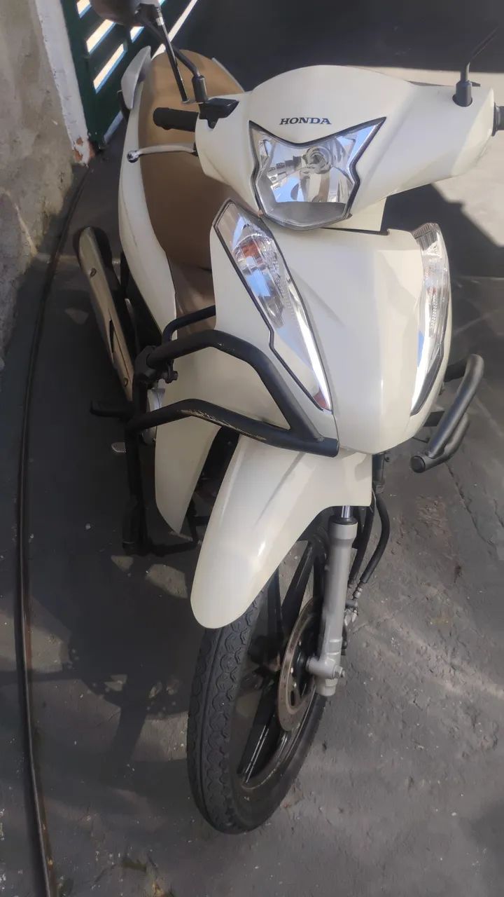 Motinha com procedência  - Foto 4