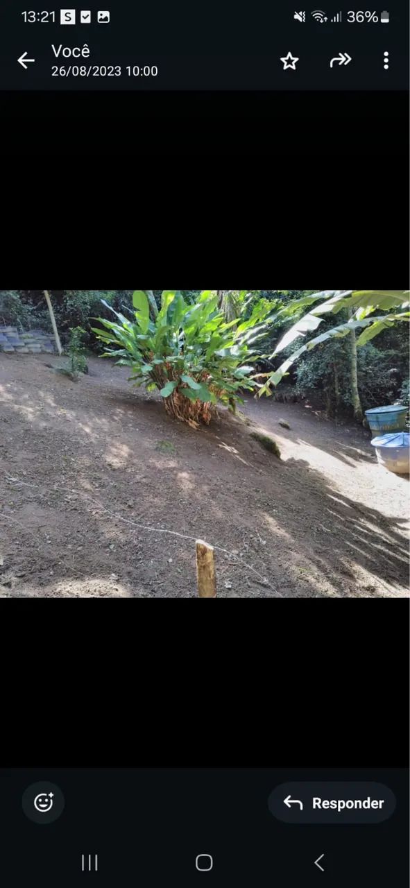 Foto - Niterói - Mata Paca
