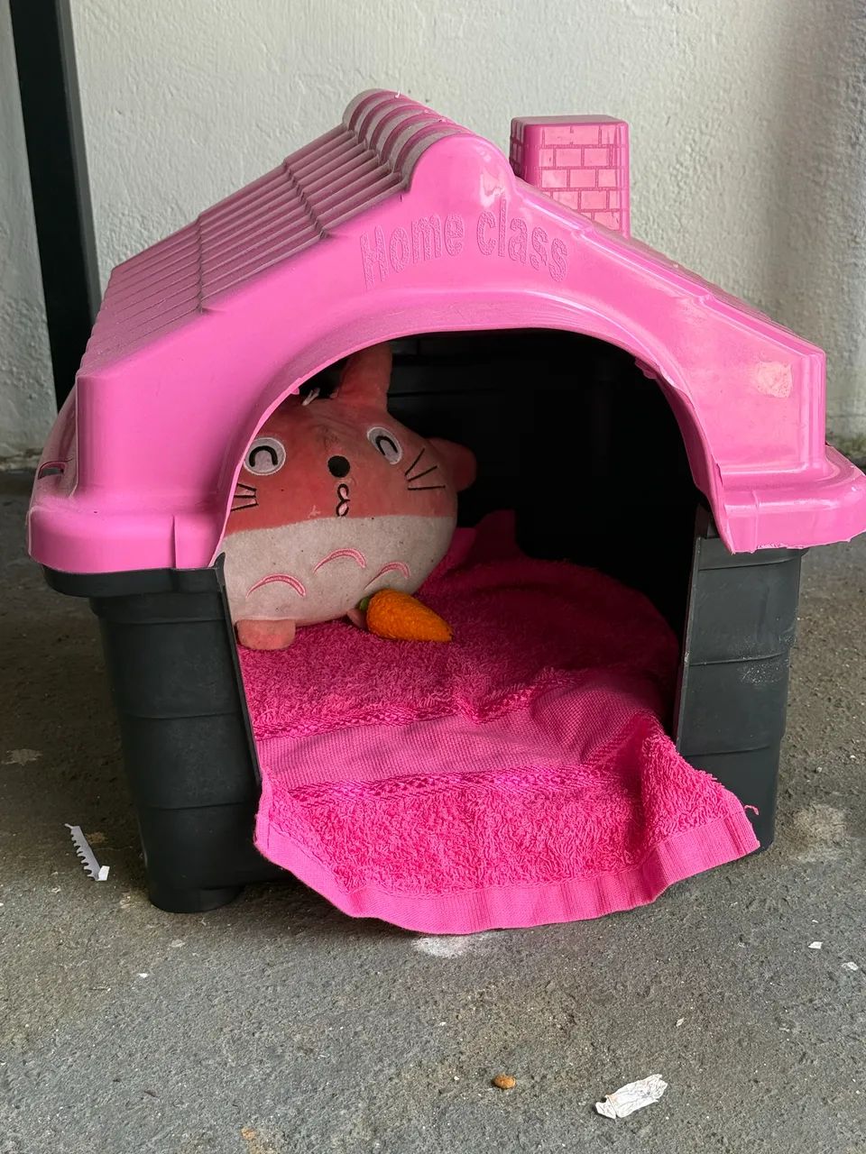 Cachorra filhote  - Foto 3