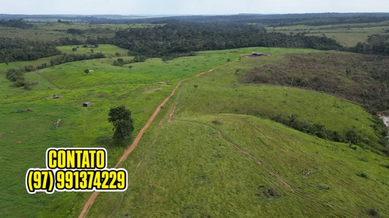 EXCELENTE FAZENDA EM APUÍ AMAZONAS - Foto 2