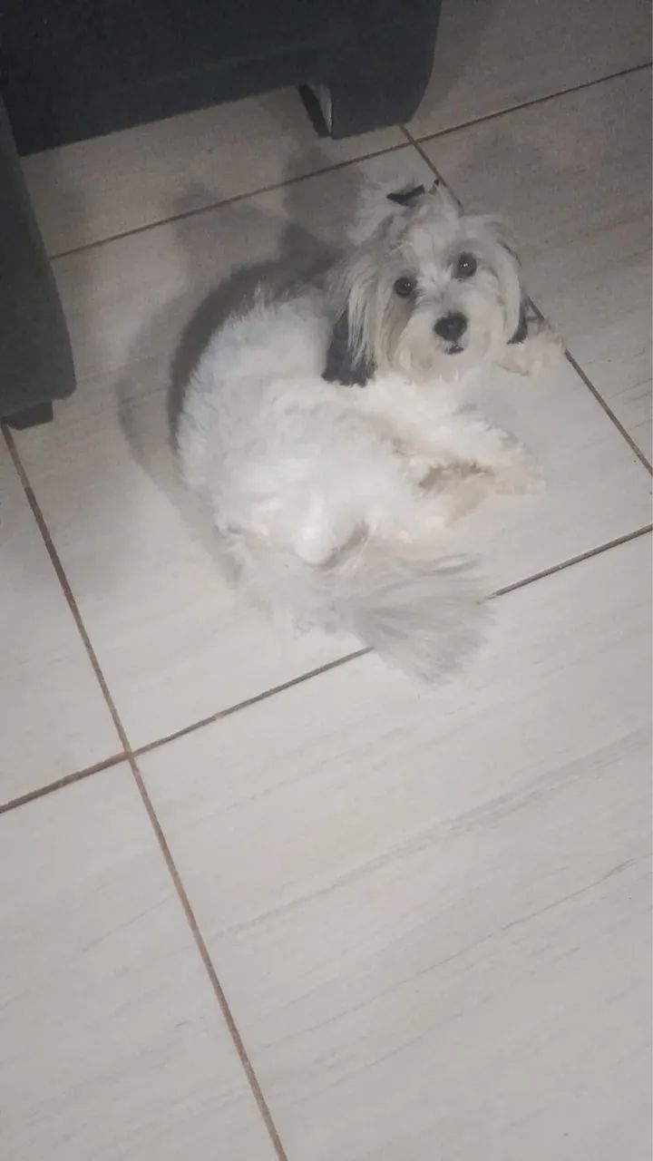 Procurando um namorado 