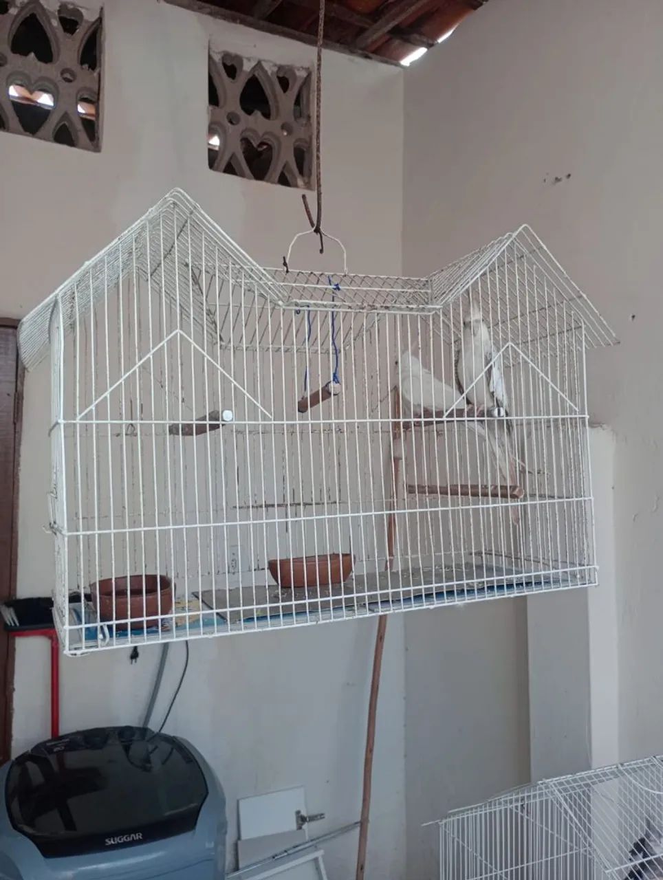 Gaiola