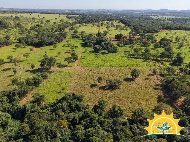 Fazendinha com 30 Hectares pertinho da cidade - Foto 2
